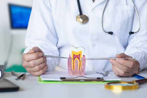 Best After-Hours Dental Trauma Care in Lakewood Park, FL